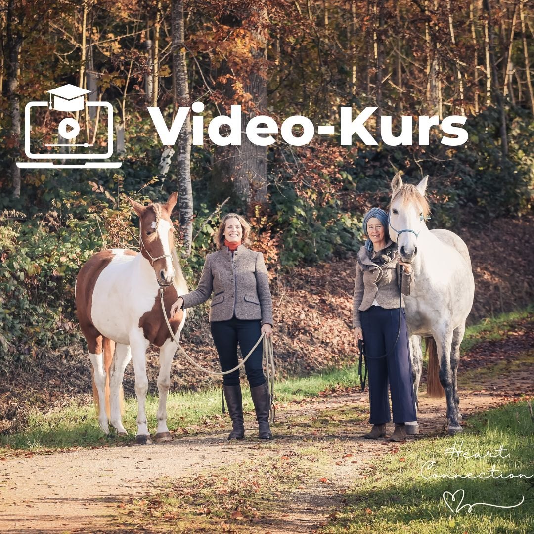 Pferdekurs Heart-Connection 6,5 Stunden, die das Leben von Pferdemenschen verändern