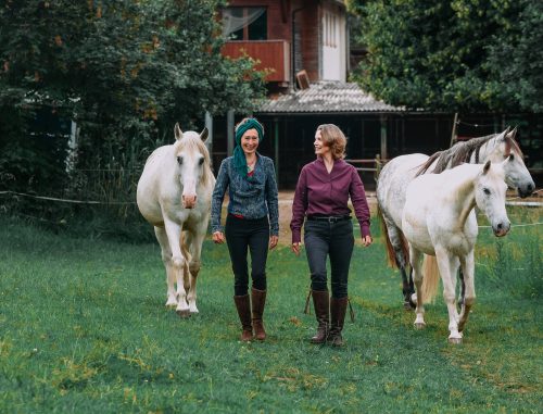 Eindruck 2 von 6 – Frauenleuchten - Ophelis Verlag